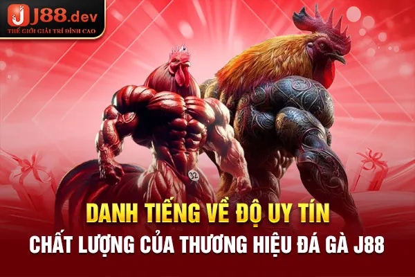 Danh tiếng về độ uy tín, chất lượng của thương hiệu đá gà J88 Danh tiếng về độ uy tín, chất lượng của thương hiệu đá gà J88