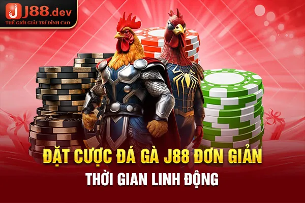 Đặt cược đá gà J88 đơn giản, thời gian linh động Đặt cược đá gà J88 đơn giản, thời gian linh động