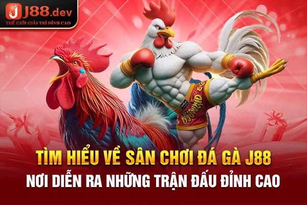 Tìm hiểu về sân chơi đá gà J88 – Nơi diễn ra những trận đấu đỉnh cao Tìm hiểu về sân chơi đá gà J88 – Nơi diễn ra những trận đấu đỉnh cao