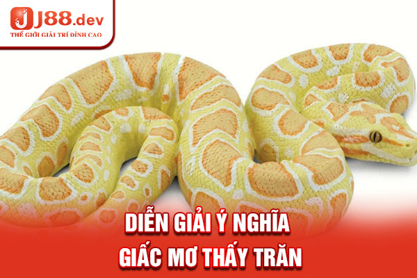 Diễn giải ý nghĩa giấc mơ thấy trăn