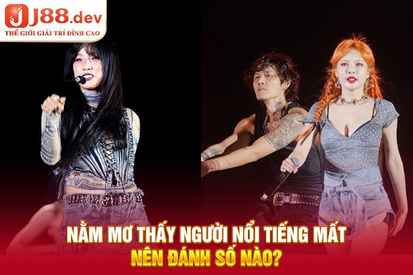 Nằm mơ thấy người nổi tiếng mất nên đánh số nào?